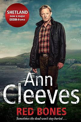 設(shè)得蘭謎案第一季 設(shè)得蘭謎案第一季