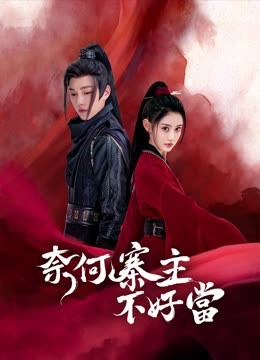 奈何寨主不好當 奈何寨主不好當