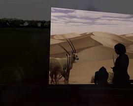 何處是巧克力山 何處是巧克力山