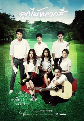 繽紛之實(shí) 繽紛之實(shí)