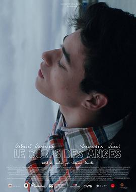 天使的身體 天使的身體