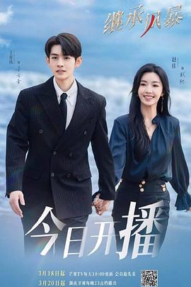 繼承風暴 繼承風暴