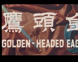 金頭鷹粵語 金頭鷹粵語